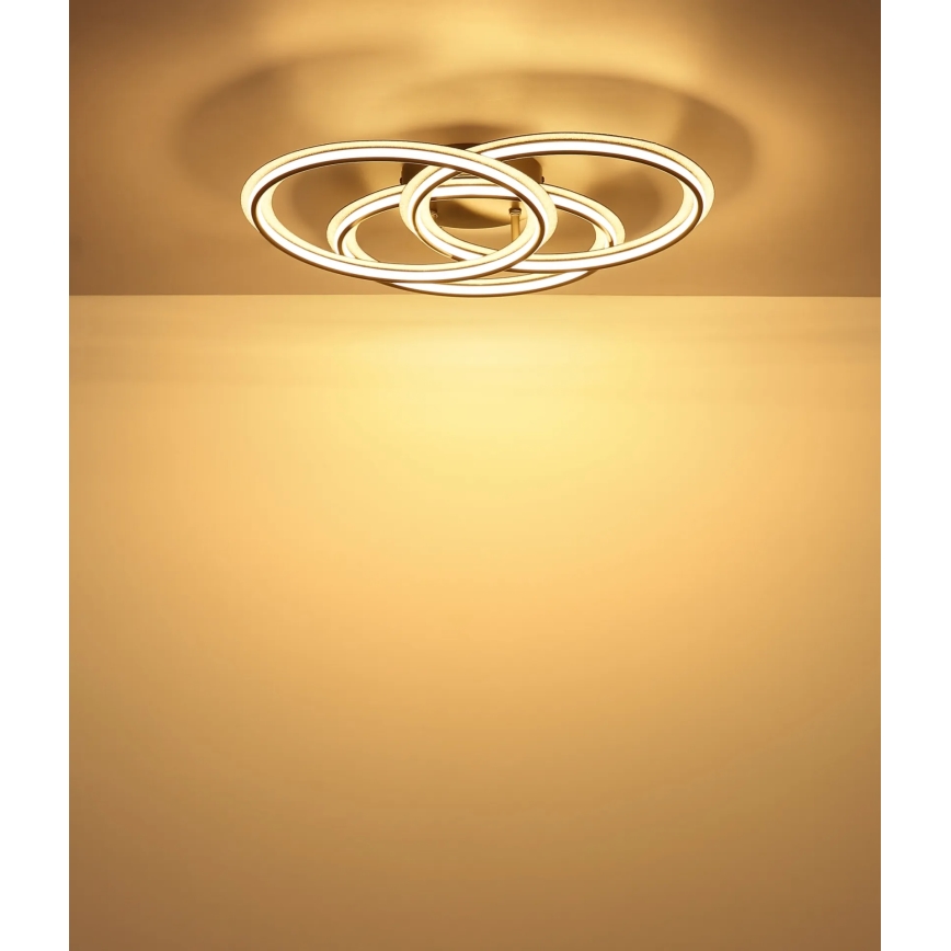 Globo - LED stropné svietidlo LED/40W/230V 3000K pr. 52 cm