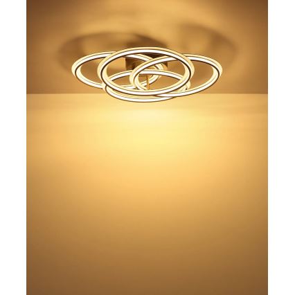 Globo - LED stropné svietidlo LED/55W/230V 3000K, priemer 53,5 cm