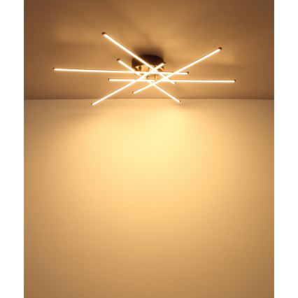 Globo - LED Stropné svietidlo LED/40W/230V 3000K čierna