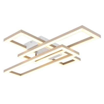 Globo - LED stropné svietidlo LED/24W/230V 3000/4000/6000K