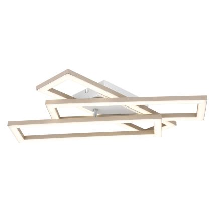 Globo - LED stropné svietidlo LED/24W/230V 3000/4000/6000K