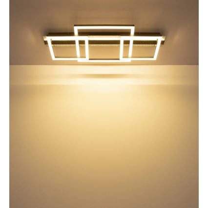 Globo - LED stropné svietidlo LED/40W/230V 3000K 33x70 cm