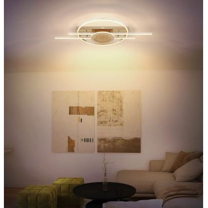 Globo - LED stropné svietidlo LED/40W/230V 3000K