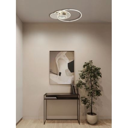 Globo - stmievateľné LED stropné svietidlo LED/24W/230V 2700-6500K 45x56 cm strieborné + diaľkové ovládanie