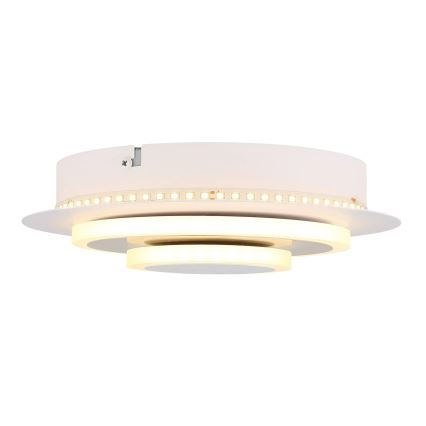 Globo - LED Stropné svietidlo LED/20W/230V 3000K
