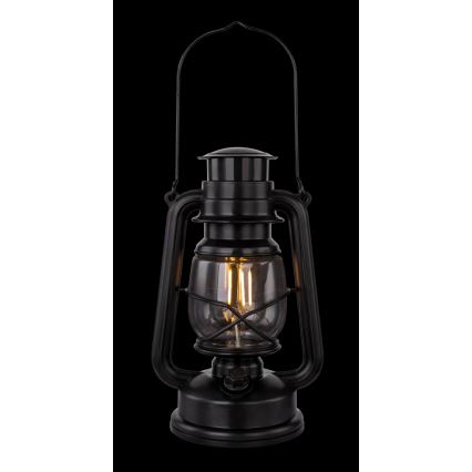 Globo - LED Dekoračná lucerna LED/0,5W/3xAA