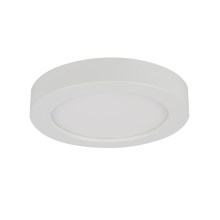 Globo - LED Kúpeľňové stropné svietidlo 1xLED/16W/230V