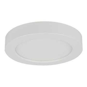 Globo - LED kúpeľňové stropné svietidlo LED/18W/230V IP44