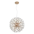 Globo - LED luster na lankách 8xG9/3,5W/230V zlatý
