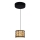 Globo - LED Luster na lanku LED/6W/230V