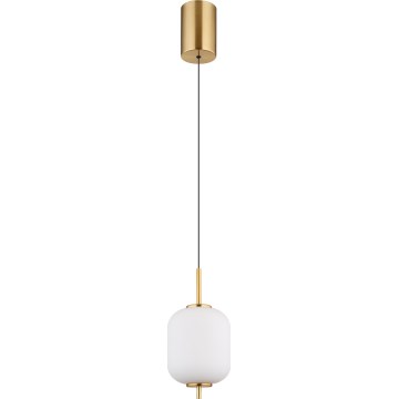 Globo - LED Luster na lanku LED/7W/230V