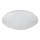 Globo - LED RGB stmievateľné stropné svietidlo LED/24W/230V + LED/8W 2700-6500K priemer 41 cm + diaľkové ovládanie