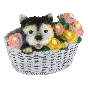 Globo - LED solárne svietidlo LED/1,2V IP44 300 mAh pes