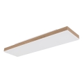 Globo - LED stlmiteľné stropné svietidlo LED/24W/230V 2700-6500K 20x80 cm + diaľkové ovládanie