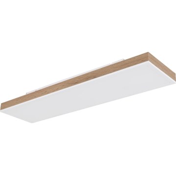Globo - LED stlmiteľné stropné svietidlo LED/24W/230V 2700-6500K 20x80 cm + diaľkové ovládanie