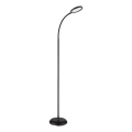 Globo - LED stmievateľná dotyková stojacia lampa LED/8W/230V 2700K/4000K/6500K čierna
