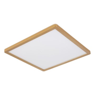 Globo - LED Stmievateľné kúpeľňové stropné svietidlo LED/24W/230V 3000K IP44 42x42 cm mosadz
