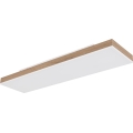 Globo - LED stmievateľné stropné svietidlo LED/24W/230V 2700-6500K 20x80 cm + diaľkové ovládanie