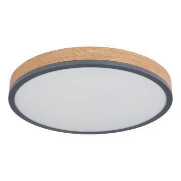 Globo - LED stmievateľné stropné svietidlo LED/24W/230V 2700-6500K pr. 45 cm