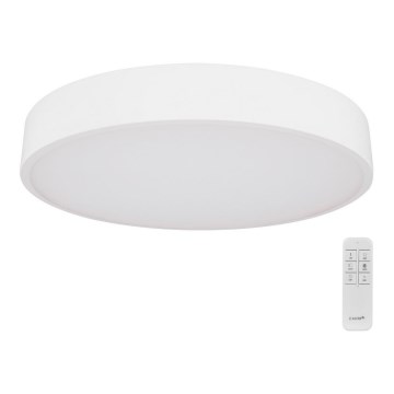 Globo - LED Stmievateľné stropné svietidlo LED/24W/230V 3000-6000K + diaľkové ovládanie