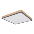 Globo - LED Stmievateľné stropné svietidlo LED/24W/230V 3000-6500K 45x45 cm