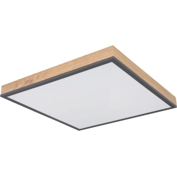 Globo - LED stmievateľné stropné svietidlo LED/24W/230V 3000-6500K 45x45 cm