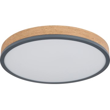 Globo - LED stmievateľné stropné svietidlo LED/24W/230V 3000-6500K priemer 45 cm