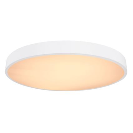 Globo - LED Stmievateľné stropné svietidlo LED/48W/230V 3000-6000K + diaľkové ovládanie