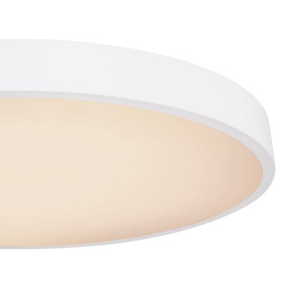 Globo - LED Stmievateľné stropné svietidlo LED/48W/230V 3000-6000K + diaľkové ovládanie