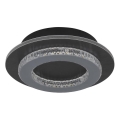 Globo - LED stropné svietidlo LED/12W/230V 3000/4000/6500K pr. 20 cm antracit
