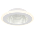 Globo - LED Stropné svietidlo LED/12W/230V 4000K