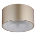 Globo - LED stropné svietidlo LED/12W/230V pr. 15 cm 3000K béžová