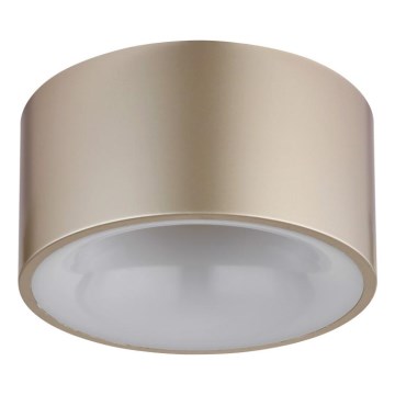 Globo - LED stropné svietidlo LED/12W/230V pr. 15 cm 3000K béžová