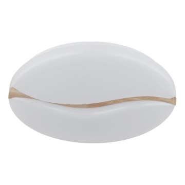 Globo - LED Stropné svietidlo LED/24W/230V 3000/4200/6000K pr. 33 cm