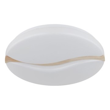 Globo - LED Stropné svietidlo LED/24W/230V 3000/4200/6000K pr. 39 cm