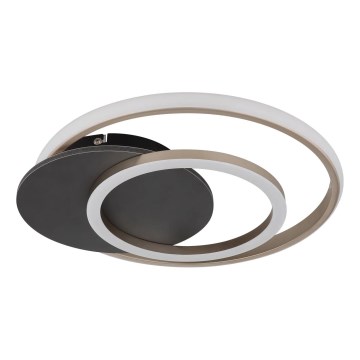 Globo - LED Stropné svietidlo LED/24W/230V