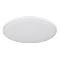 Globo - LED Stropné svietidlo LED/32W/230V 4000K pr. 40 cm biela