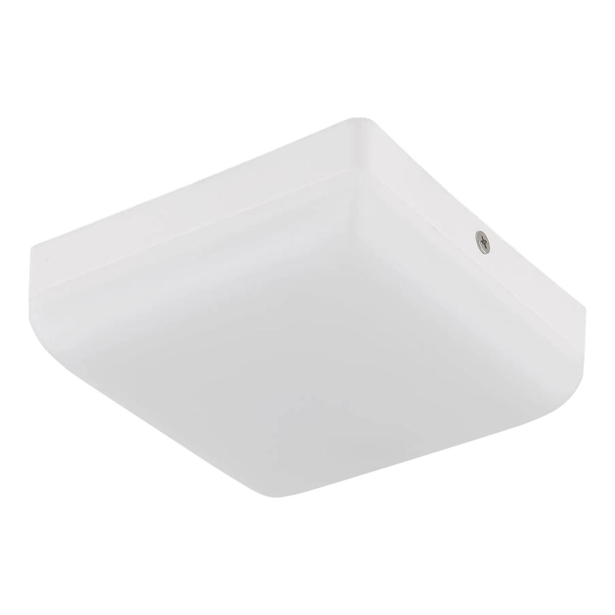 Globo - LED Stropné svietidlo LED/8W/230V 4000K 12x12 cm biela