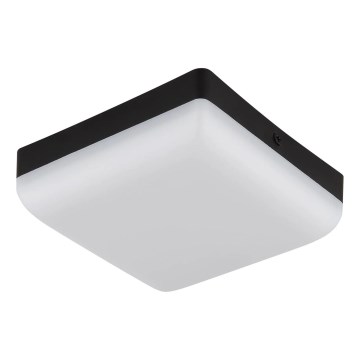 Globo - LED Stropné svietidlo LED/8W/230V 4000K 12x12 cm čierna