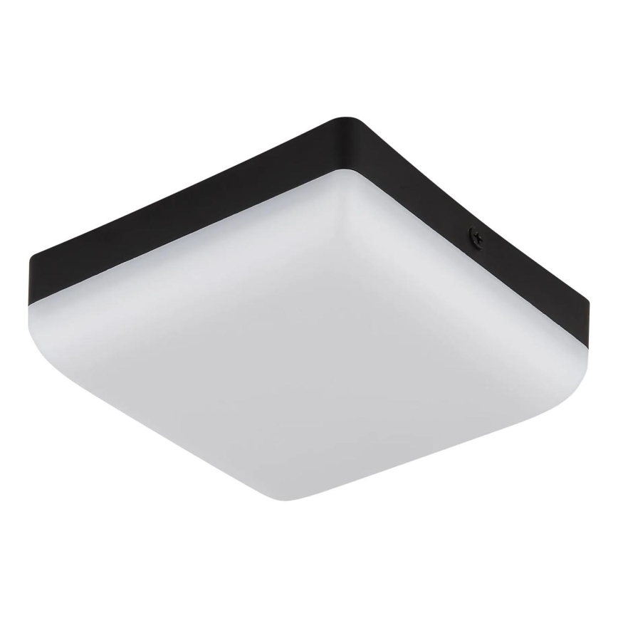 Globo - LED Stropné svietidlo LED/8W/230V 4000K 12x12 cm čierna