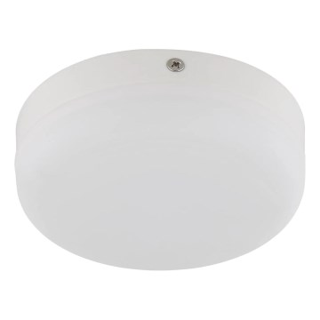 Globo - LED Stropné svietidlo LED/8W/230V 4000K pr. 12 cm biela