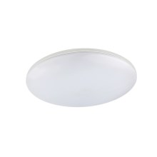Globo - LED Vonkajšie stropné svietidlo 1xLED/24W/230V IP54