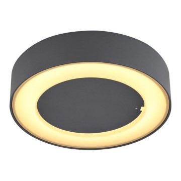 Globo - LED Vonkajšie stropné svietidlo LED/12W/230V IP54