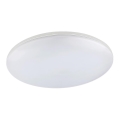 Globo - LED vonkajšie stropné svietidlo LED/24W/230V IP54