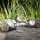 Globo - SADA 3x LED Solárne svietidlo LED/1,2V IP44 600 mAh