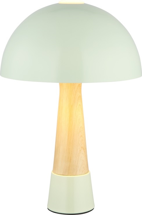 Globo - Stolná lampa 1xE27ILLU/40W/230V zelená