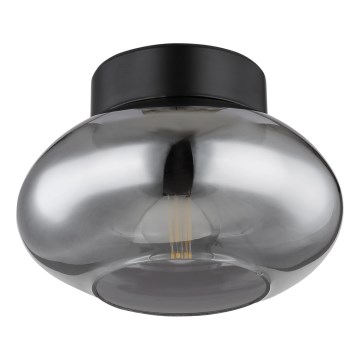 Globo - Stropné svietidlo 1xE27ILLU/40W/230V čierne