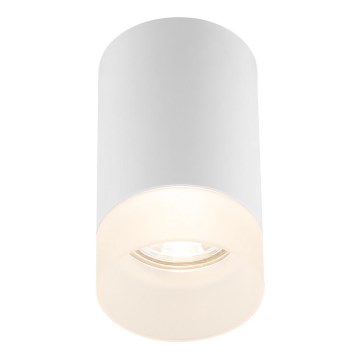 Globo - Stropné svietidlo 1xGU10/35W/230V