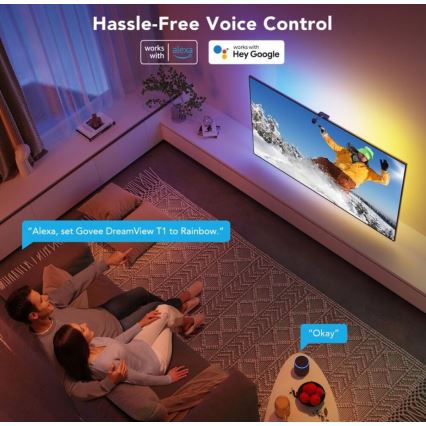Govee - DreamView TV 55-65 SMART LED podsvietenie RGBIC Wi-Fi