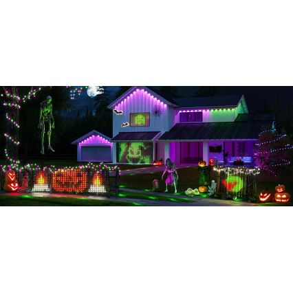 Govee - LED RGBIC Vonkajšia svetelná sieť 143x85cm Wi-Fi Matter IP65